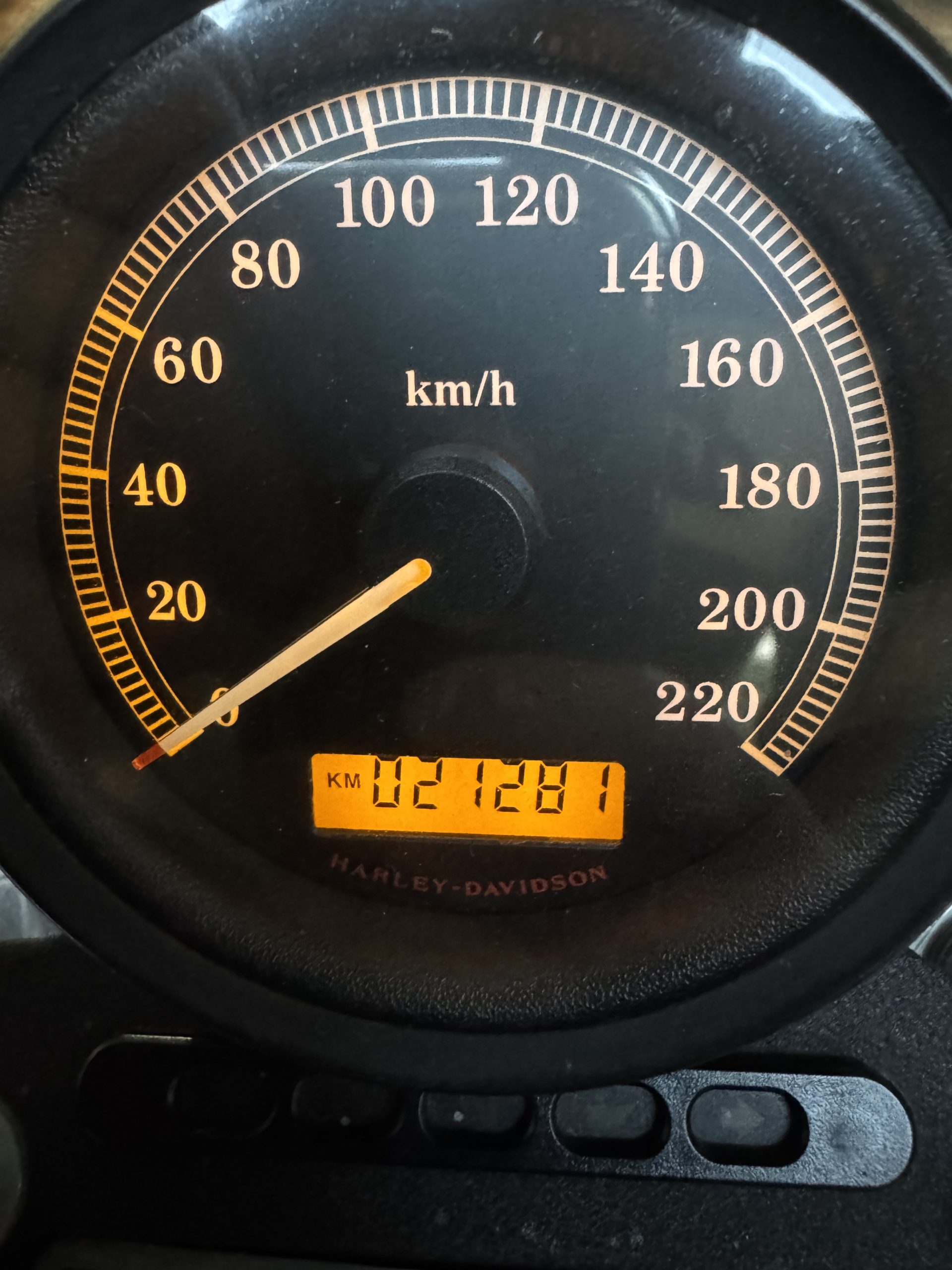 Harley-Davidson 883 Custom 2008 21.400km - immagine 5